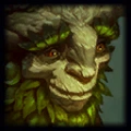 BOT ADC OR FEED